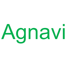 株式会社Agnavi